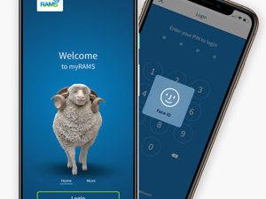 My Rams App myRAMS for iPhone & Android - All You Need to Know | RAMS