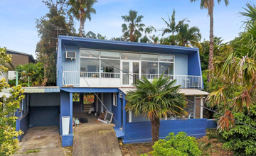 29-suburbs-where-you-can-make-a-seachange-blue-house-and-palm-tree