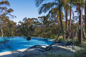 Pool and palm trees