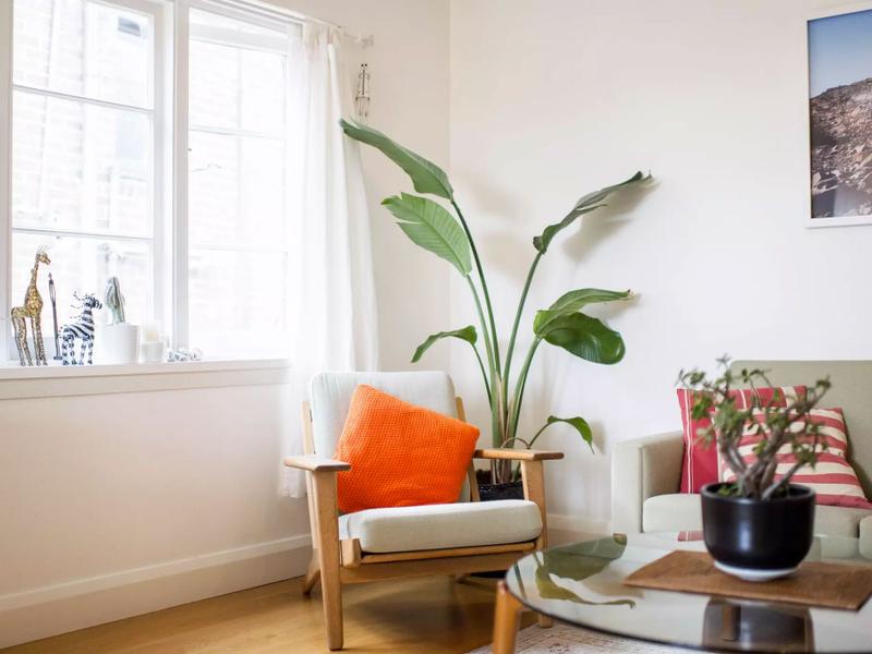 Your essential guide to stamp duty_Pic1 - chair and plant